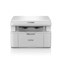 Brother DCP-L1630WE (DCPL1630WYJ1)