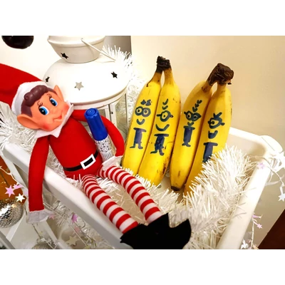 ELF on the Shelf, azaz ELFtárs a polcunkon 1. rész